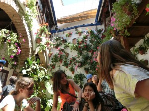 patios 1